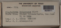 Image Associated With the Occurence